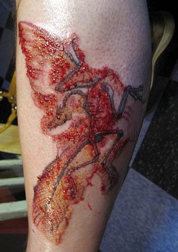 So, three weeks ago, I got a tattoo of that archeopteryx.