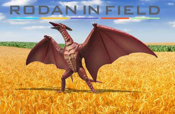 Rodan in field