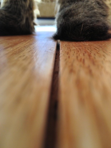 20130408-092213.jpg