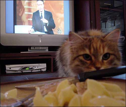 noodle stalker 21.5K